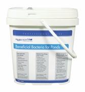 Professional Grade Beneficial Bacteria Dry